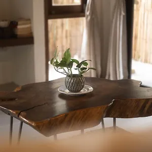 Hotel Big Tree Boutique, Koh Tao